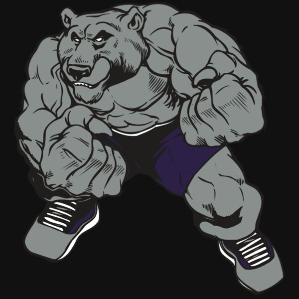 AR BEAR 28 RC Thumbnail