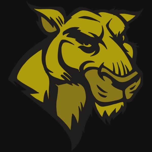 AR5 COUGAR 18 RQC Thumbnail