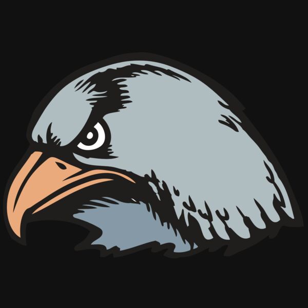 BAW HWK FLCN 03 RC Thumbnail