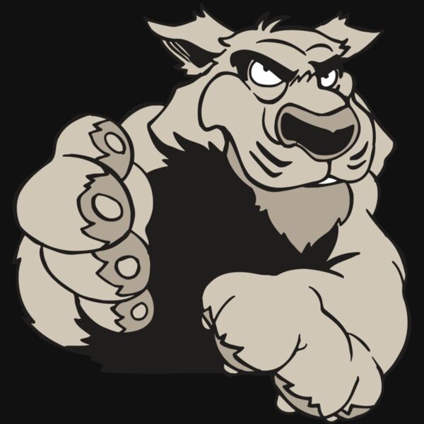 AR5 COUGAR 21 RQC Thumbnail