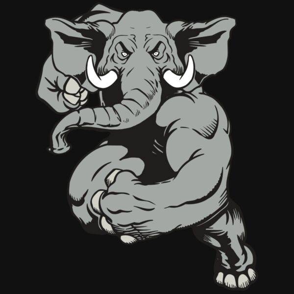 AR ELEPH 18 RC Thumbnail