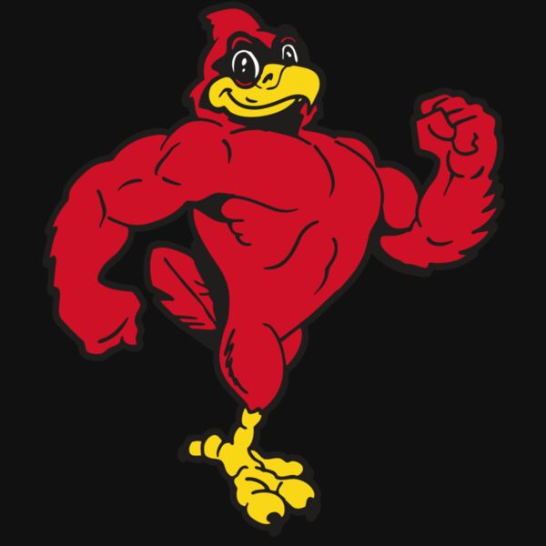 AR CARDINAL 41 RC Thumbnail