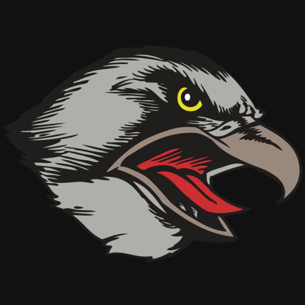 BAW HWK FLCN 13 RC Thumbnail