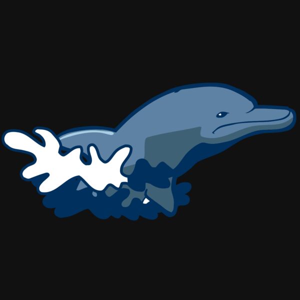 AR DOLPIN 10 RC Thumbnail