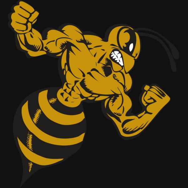 BAW BEE 01 RC Thumbnail