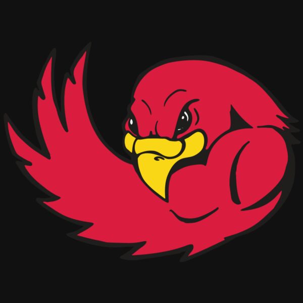 AR FALCON 18 RC Thumbnail