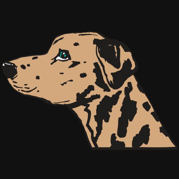 AR2 OTHER 03 RQC Thumbnail