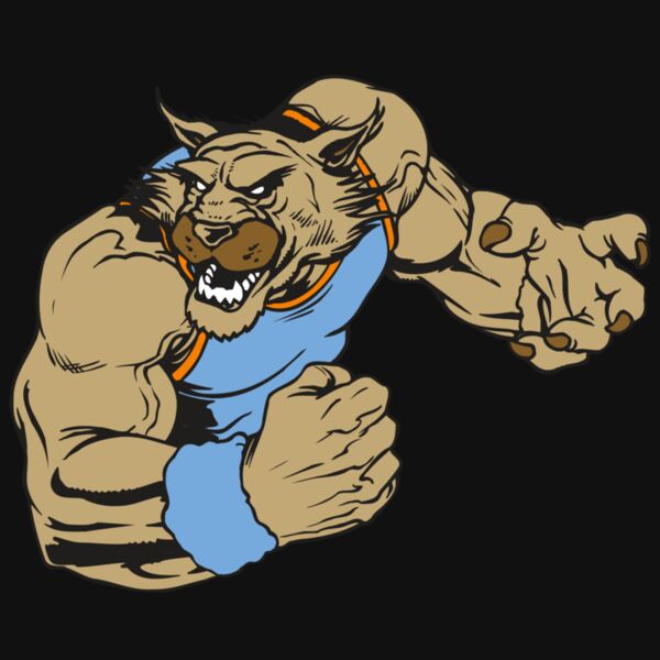 AR WILDCAT 46 RC Thumbnail