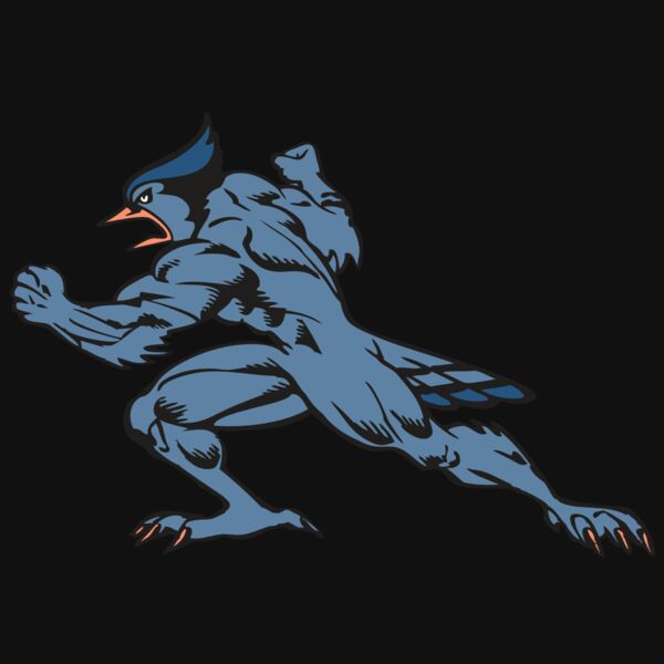 BAW BLUEJAY 15 RC Thumbnail