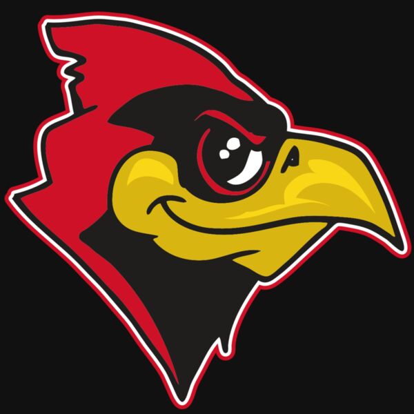 AR CARDINAL 38 RC Thumbnail