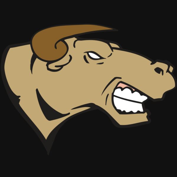 AR BULL 30 RC Thumbnail