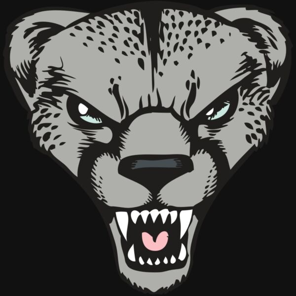 BAW CHEETAH 15 RC Thumbnail