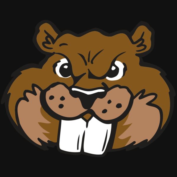 AR BEAVER 10 RC Thumbnail