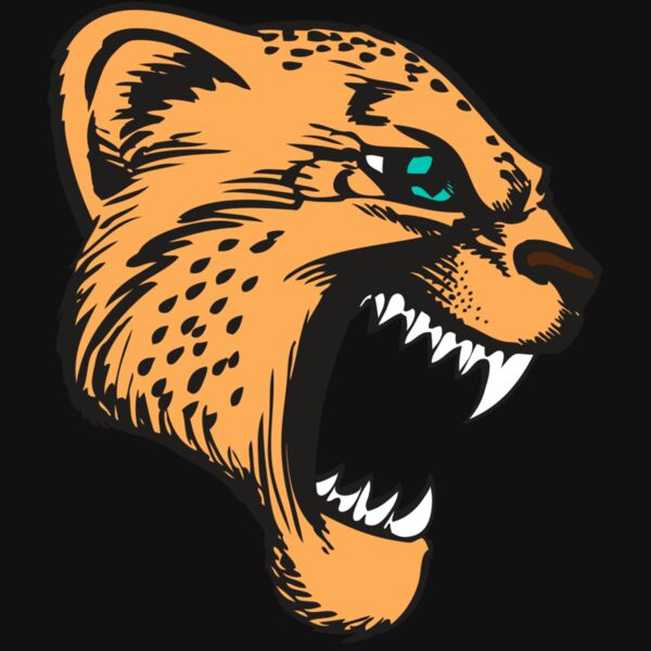 BAW CHEETAH 11 RC Thumbnail