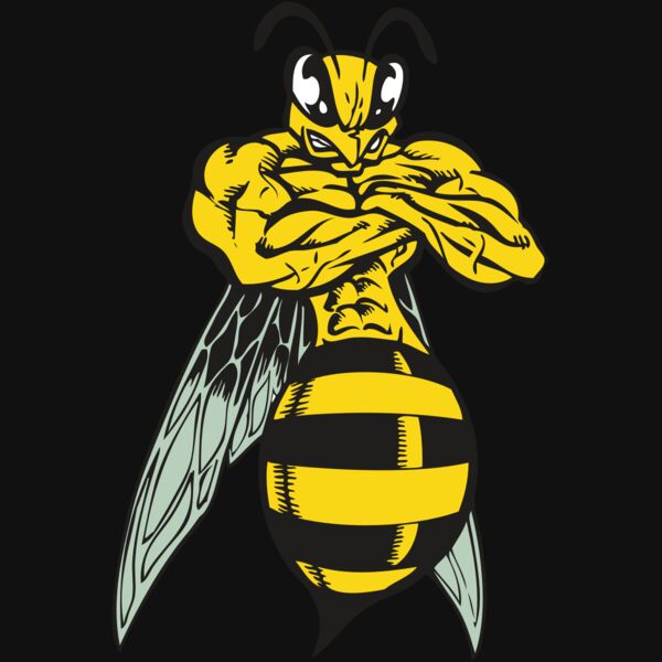 BAW BEE 16 RC Thumbnail