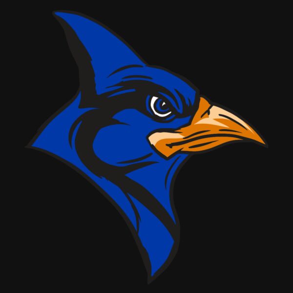 AR13 BLUEJAY 04 RQC Thumbnail