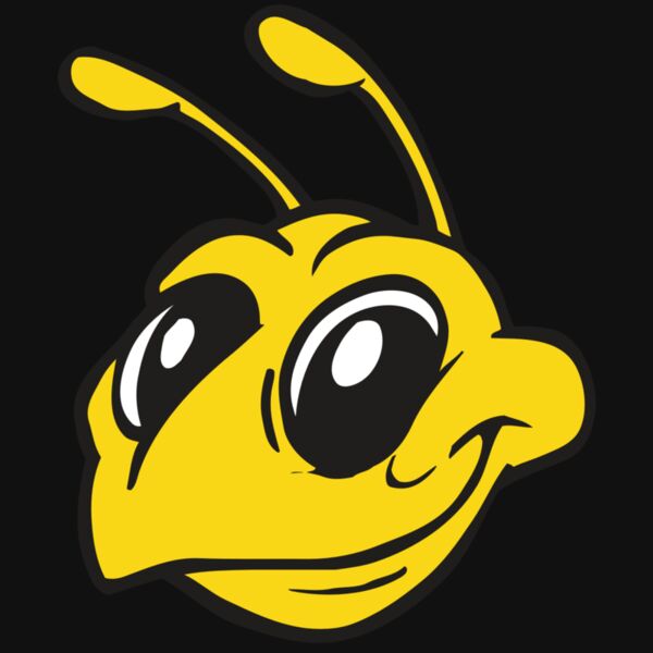 AR BEE 28 RC Thumbnail