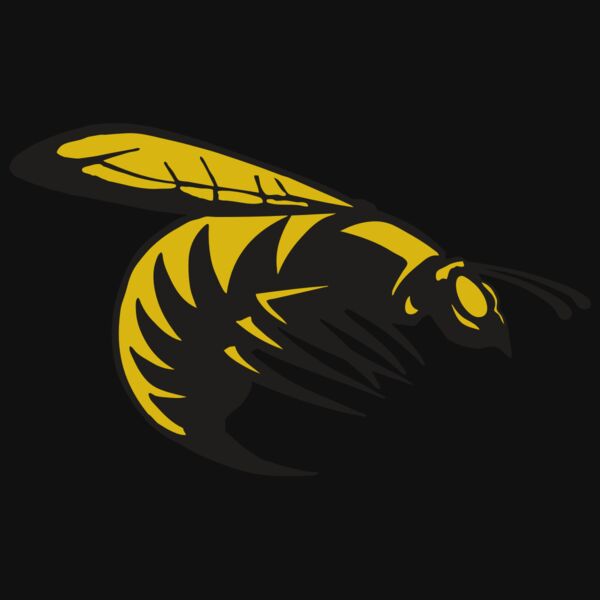 AR BEE 49 RC Thumbnail