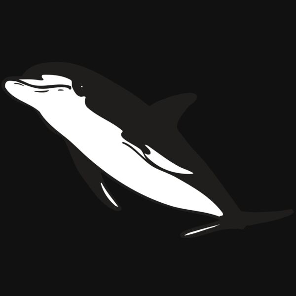 AR DOLPIN 13 RC Thumbnail