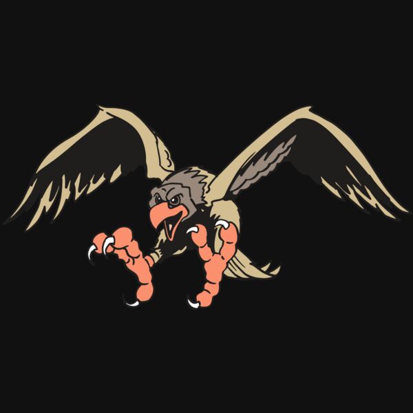 AR EAGLE 15 RC Thumbnail