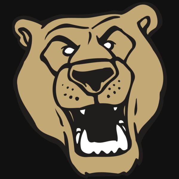 AR BEAR 13 RC Thumbnail