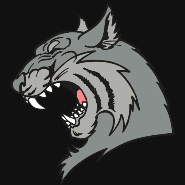 AR WILDCAT 41 RC Thumbnail