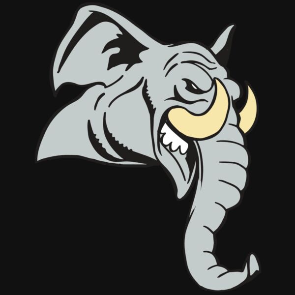 AR5 Elephant 12 RQC Thumbnail