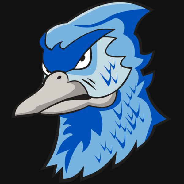 BLUEJAY HD0501 RQC Thumbnail