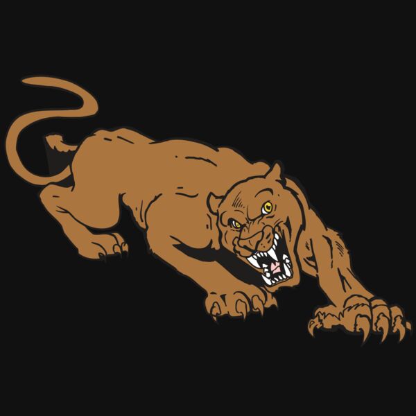 AR5 COUGAR 41 RQC Thumbnail