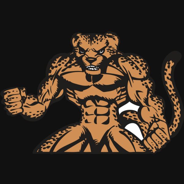 BAW CHEETAH 07 RC Thumbnail