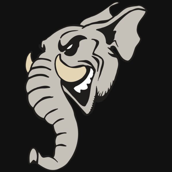 AR5 Elephant 11 RQC Thumbnail