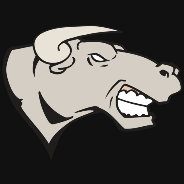 AR BULL 18 RC Thumbnail