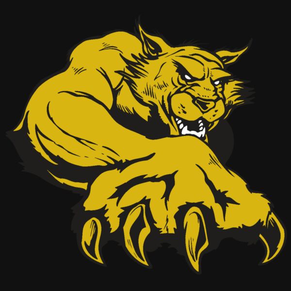 AR WILDCAT 26 RC Thumbnail