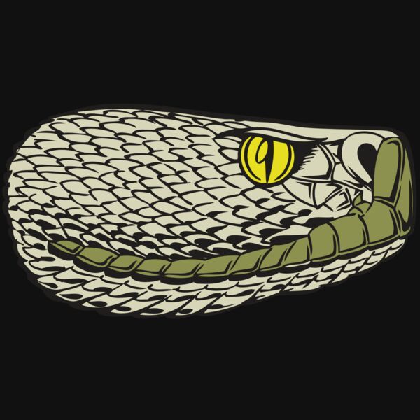 BAW SNAKE 03 RC Thumbnail