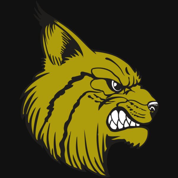 BAW BOBCAT 16 RC Thumbnail