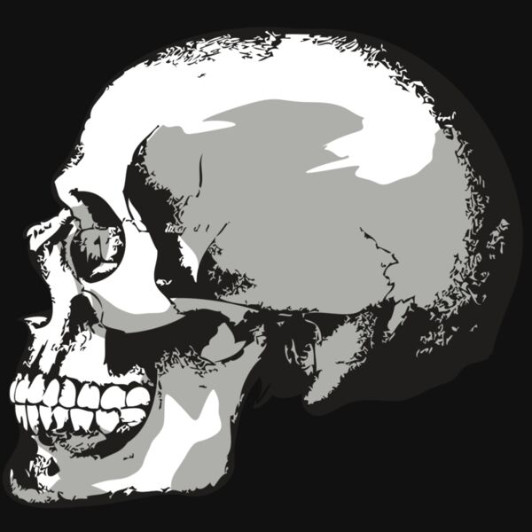 AR24 SKULL 02 RQC Thumbnail