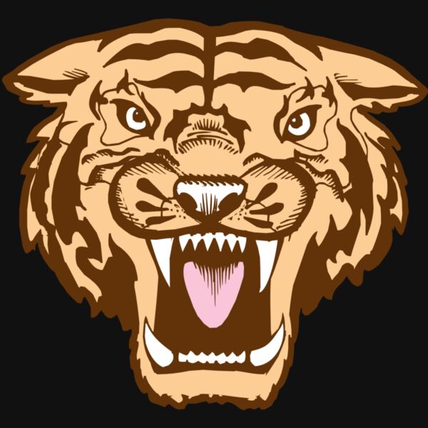 BAW TIGER 05 RC Thumbnail