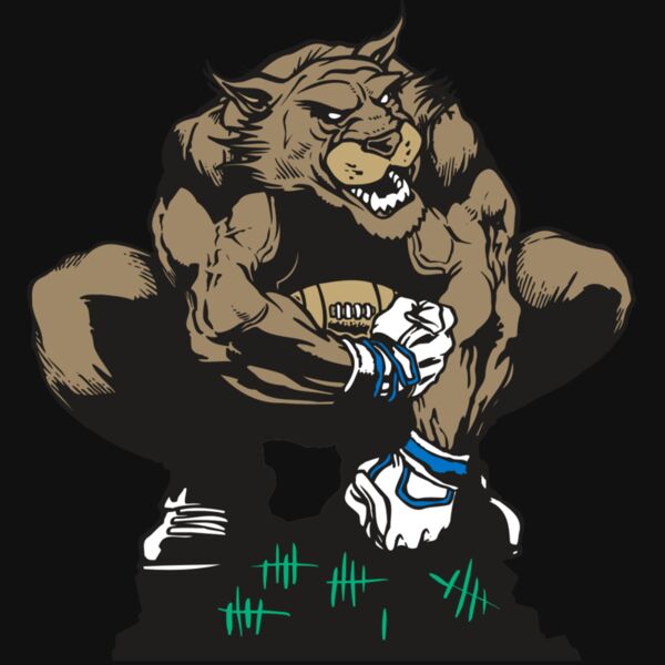 AR WILDCAT 34 RC Thumbnail