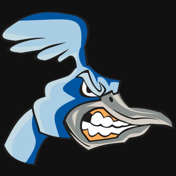 ROADRUNNER HD0503 RQC Thumbnail