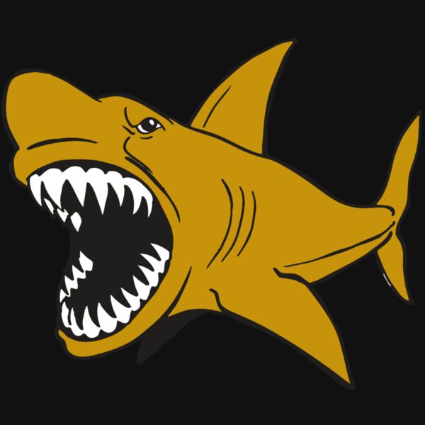 AR  SHARK 21 RC Thumbnail