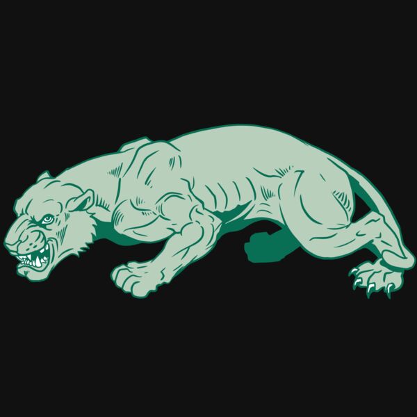 AR10 PANTHER 05 RQC Thumbnail