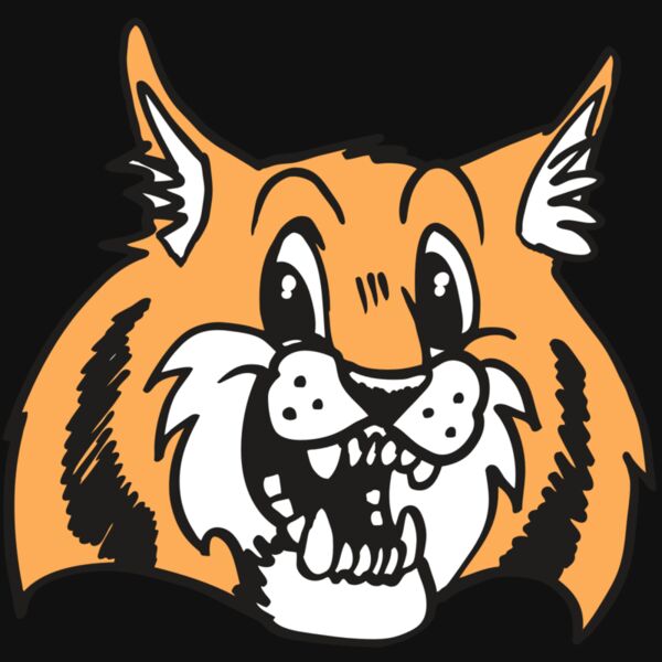 AR WILDCAT 13 RC Thumbnail