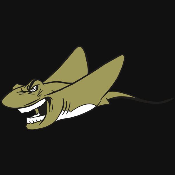 AR19 STINGRAY 07 RQC Thumbnail