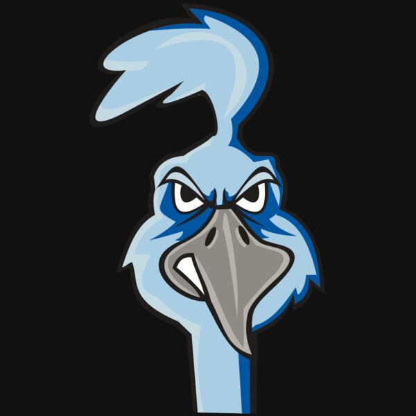 ROADRUNNER HD0502 RQC Thumbnail