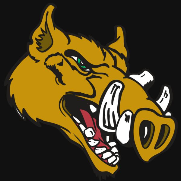 AR RAZORBACK 17 RC Thumbnail