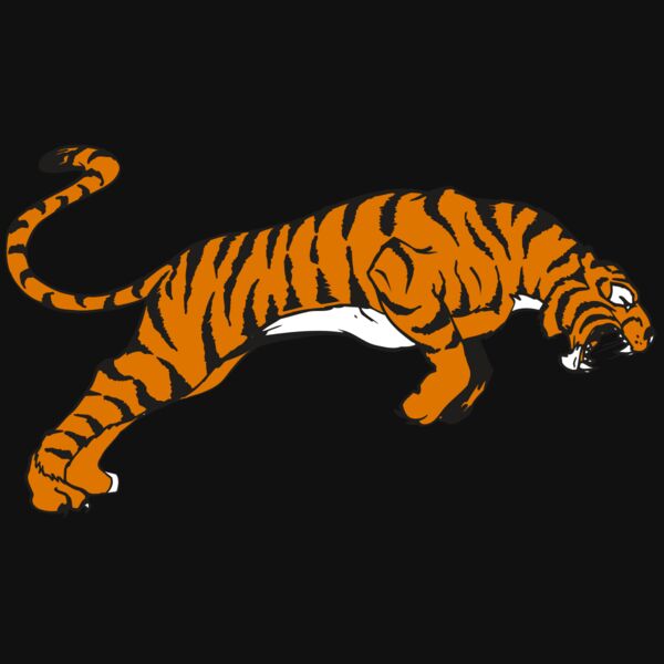 AR TIGER 79 RC Thumbnail