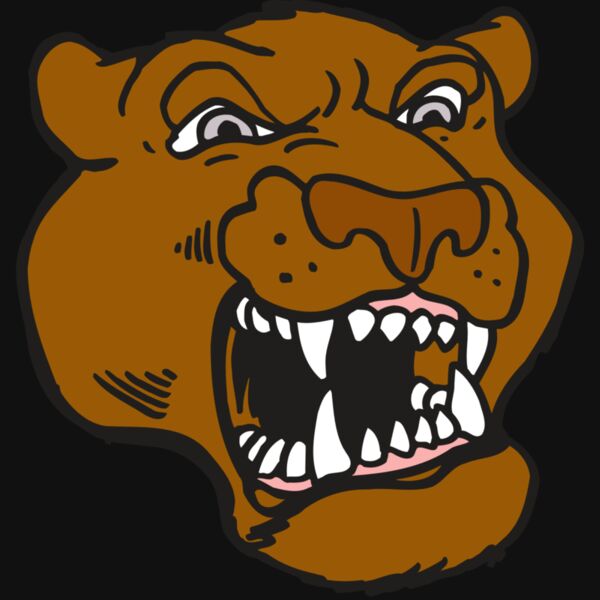 AR5 COUGAR 29 RQC Thumbnail