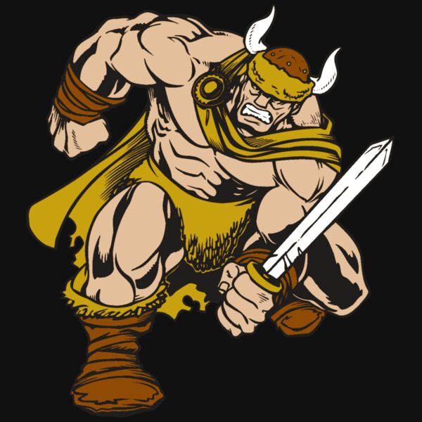 AR VIKING 35 RC Thumbnail