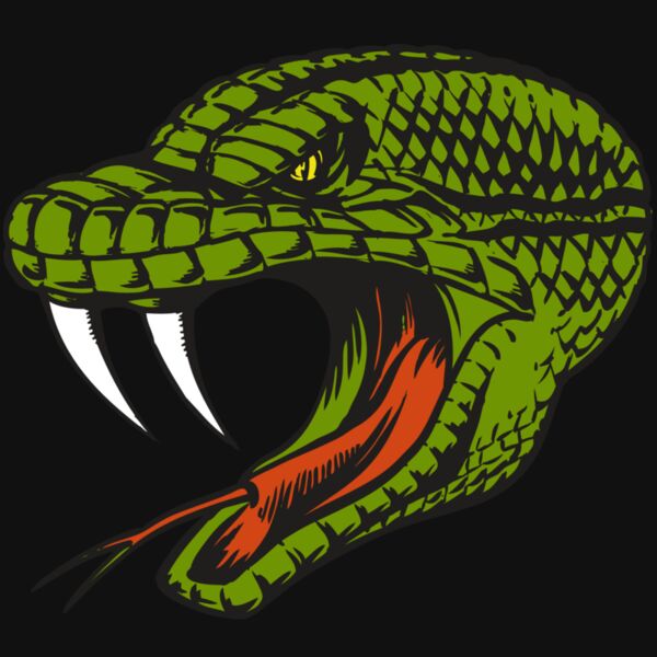 BAW SNAKE 14 RC Thumbnail