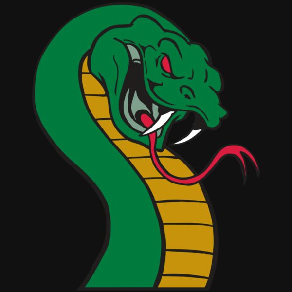 AR SNAKE 12 RC Thumbnail